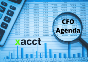 CFO Agenda